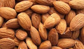 Фото 3. Selling Almond Nuts
