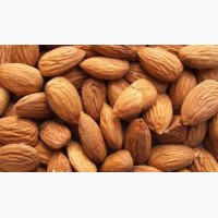 Selling Almond Nuts