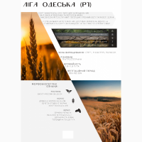 ДП ДГ ДНІПРО продаж пшениці від виробника, сорт Ліга одеська, категорія СН/перша