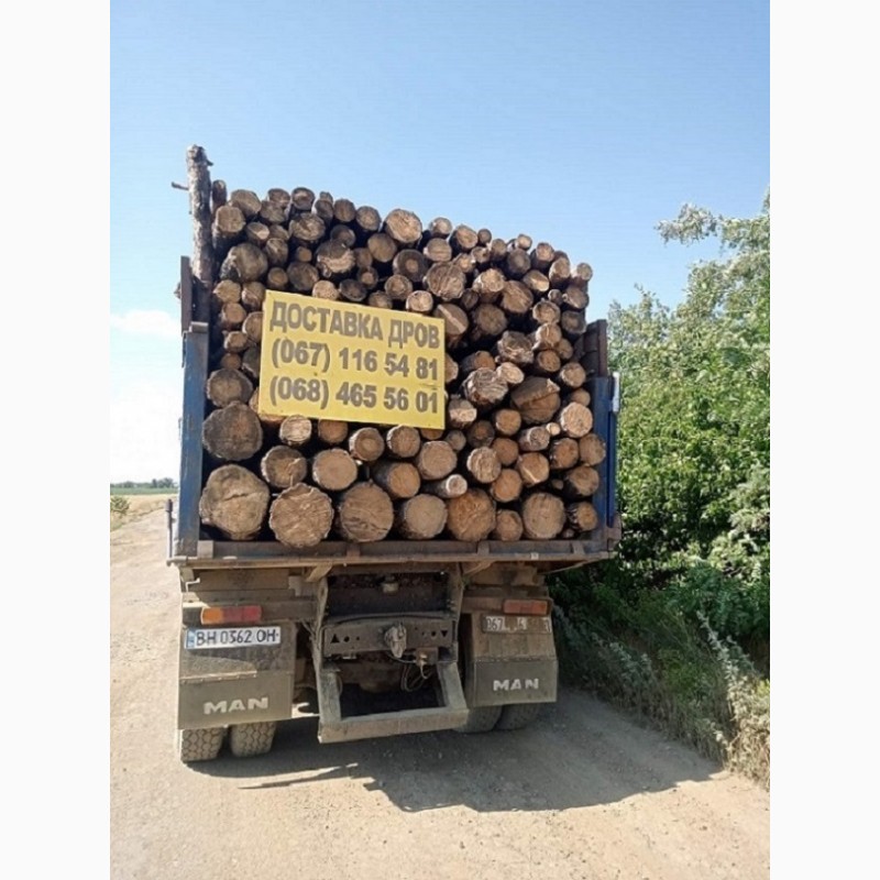 Фото 3. Продам дрова дубовые