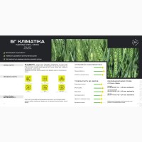 Пшениця озима (остиста) - BG Klimatika / Durum Seeds /