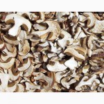 Продам Белые грибы закарпатья! Свежемороженые, сухие, консервированые