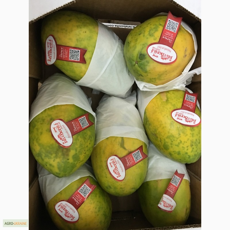 Фото 7. Продаем манго из Испании