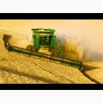 Продаем СЕМЕНА зерновых гибридов пшеницы кукурузы семечки, рапса, сои