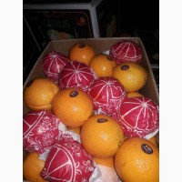 Апельсины (Египет) Navel