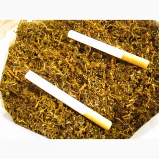 Табак Берли+Вирджиния лапша 1-2мм, ферментированный без мусора.В НАЛИЧИИ СЕМЕНА-20грн