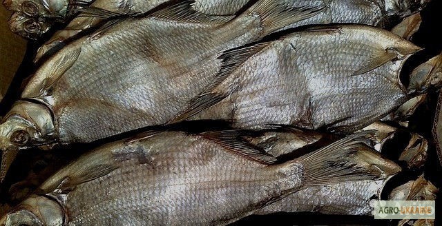 Фото 3. Рыбоперерабатывающий цех продаёт речную вяленую рыбу