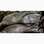 Рыбоперерабатывающий цех продаёт речную вяленую рыбу