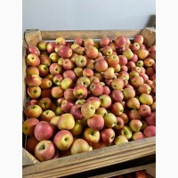 Продам яблука з холодильника газовані(смарт фреш)