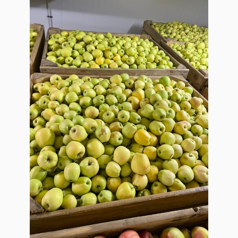 Фото 5. Продам яблука з холодильника газовані(смарт фреш)