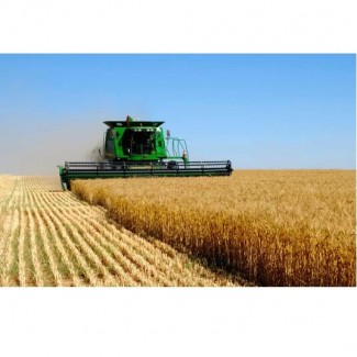 Автоматизированная система приема зерна «1С Зерноток»
