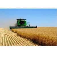 Автоматизированная система приема зерна «1С Зерноток»