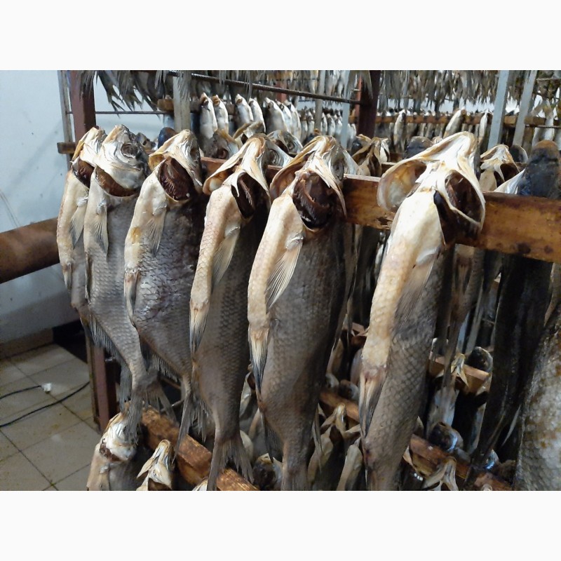 Фото 2. Продам вяленную речную рыбу