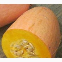 Фірма продає насіння гарбуза Пінк Джамбо Банана