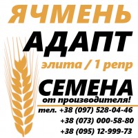 Семена ярового ячменя Адапт от производителя Агротред (Харьков тел. О73 ООО 58 8О)