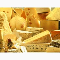 Сыр твердый 100% натуральный (продажа и цена от производителя)