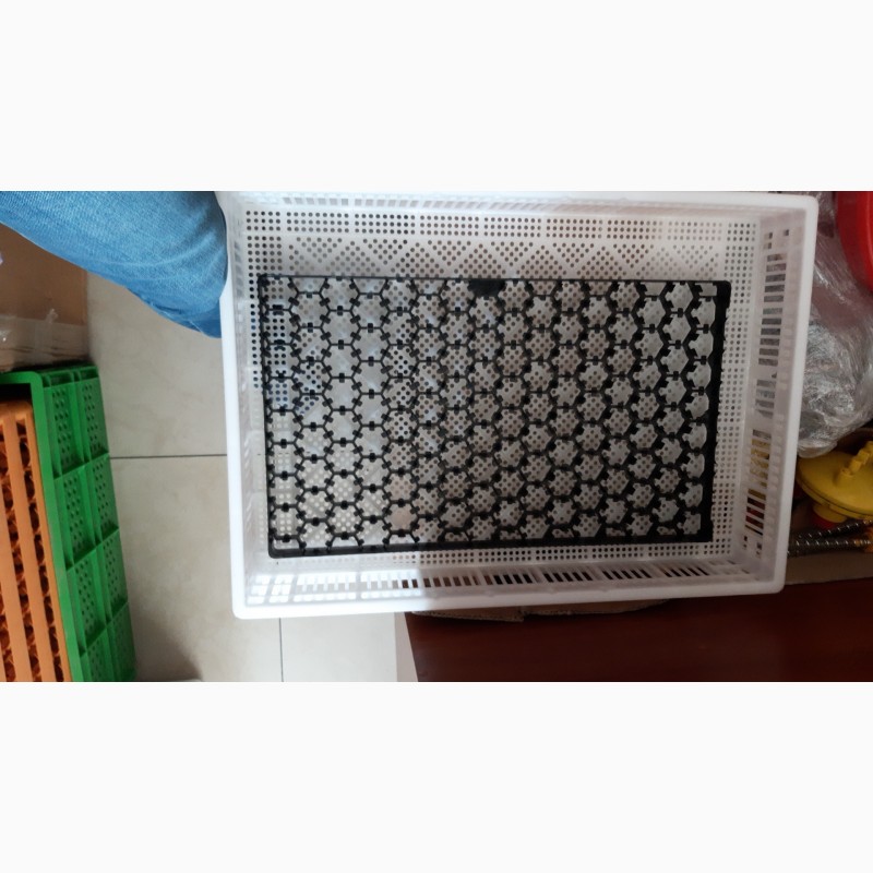 Фото 4. Инкубационный лоток (ячейка) для инкубатора УНИВЕРСАЛ (ИУП, ИУФ), вместимостью 128 яиц