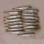 Рыба вяленая и холодного копчения, креветка-свеже-мор., сулугуни ОПТ