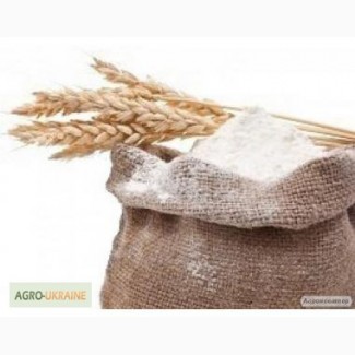 Мука пшеничная в мешках по 50кг