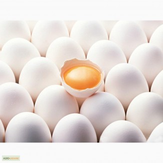 Свежие яйца категории С-1 и С-0