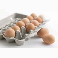 Яйце куряче
