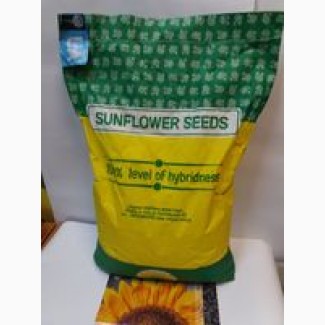 Соняшник НЕО - високоврожайний, посухостійкий гібрид під гранстар