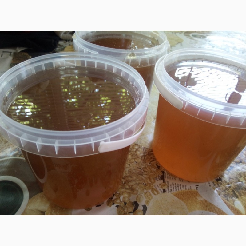 Фото 3. Продаю мёд подсолнечника и мёд из рабса