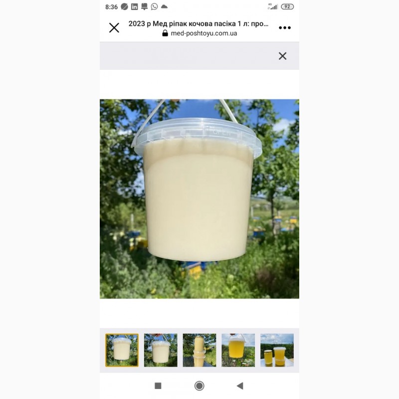 Фото 4. Продаю мёд подсолнечника и мёд из рабса