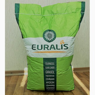 Семена подсолнечника EURALIS ES BELLA/Евралис Белла