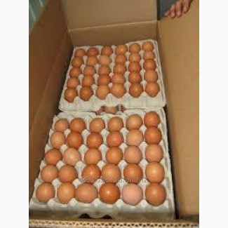 Продаем яйцо куриное, категория С1 (55-65gr) коричневое и белое отправка в любой город