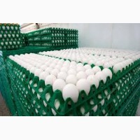 Продаем яйцо куриное, категория С1 (55-65gr) коричневое и белое отправка в любой город