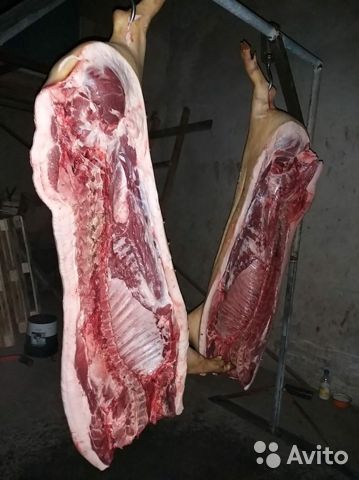 Фото 2. Продам домашнюю свинью на м#039;ясо