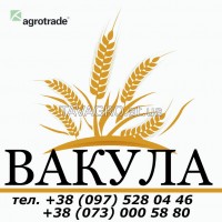 Продам Вакулу, яровой ячмень, элита и 1 репродукция, документы