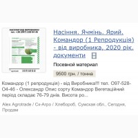 Насіння ярий ячмінь Командор від виробника, рік 2020