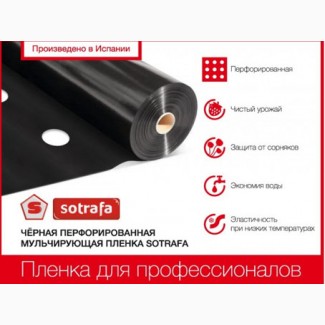 Пленка мульчирующая SOTRAFA с перфорацией