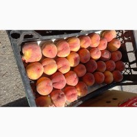 Продам персик