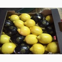 Прямые оптовые продажи Лимонов из Турции