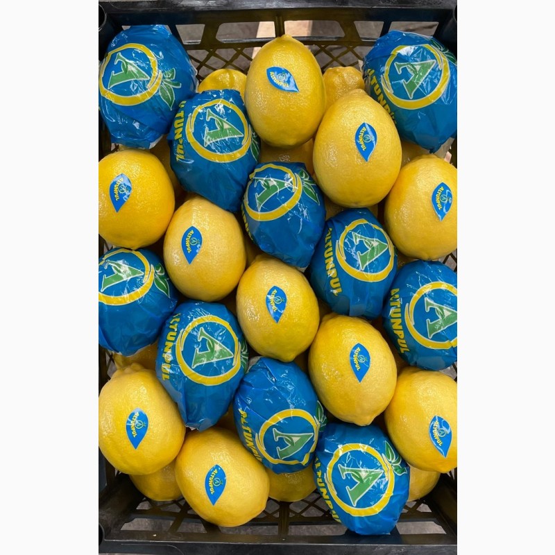 Фото 2. Прямые оптовые продажи Лимонов из Турции