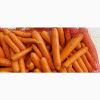 Продам морковку мытую