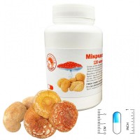 Мікродозінг MIX (Їжовик + мухомор червоний)
