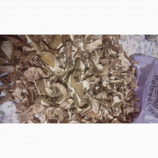 Продам продам сушені білі гриби