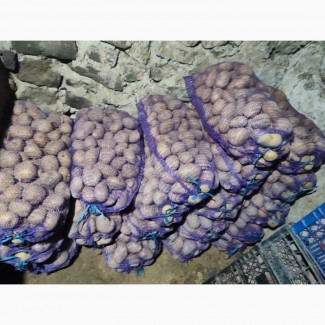 Продам картоплю від населення оптом від 10 тон