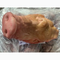 Продам голови свині