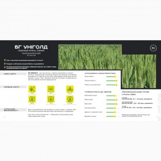 Пшениця озима (остиста) - BG Unigold / Durum Seeds /