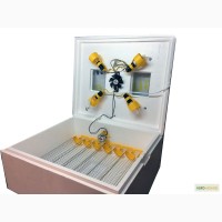 Автоматический инкубатор Теплуша-63 для всех видов яиц