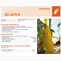 Купить семена кукурузы ДС 0479 Б
