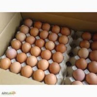 Продам яйцо куриное столовое, отборное, С-1, коричневое и белое мелким оптом от 5 ящиков