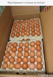 Фото 3. Продам яйцо куриное столовое, отборное, С-1, коричневое и белое мелким оптом от 5 ящиков
