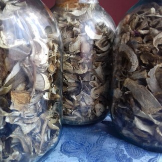 Продам грибы сушоные белые