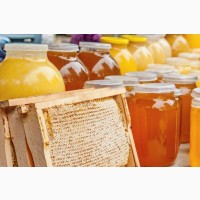 Продам мед (різнотрав’я )